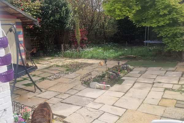House sit in Crawley, United Kingdom