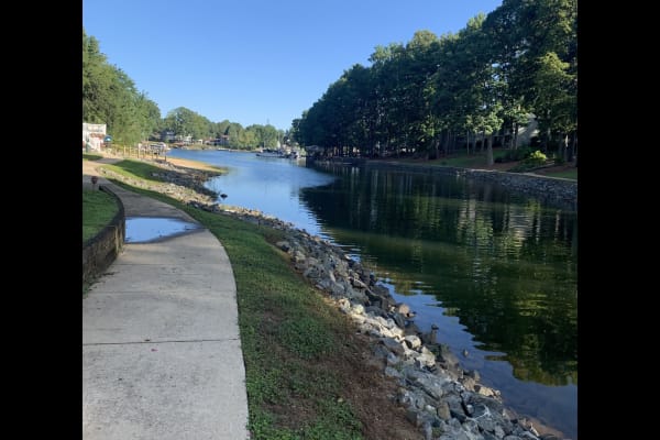 House sit in Cornelius, NC, US