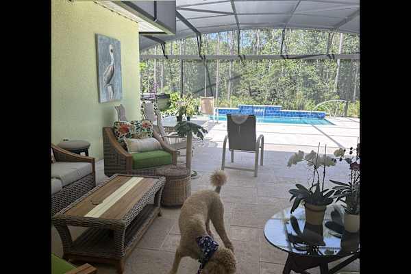 House sit in Daytona Beach, FL, US