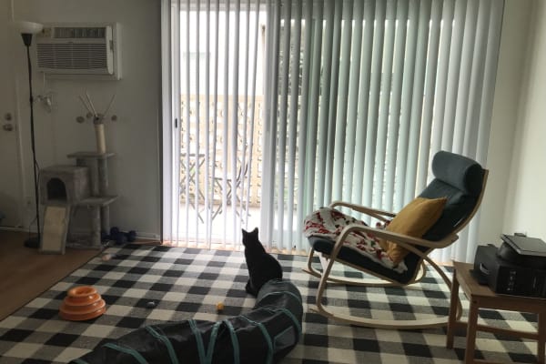 House sit in Los Angeles, CA, US