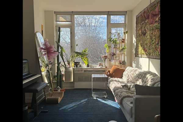 House sit in Brooklyn, NY, US