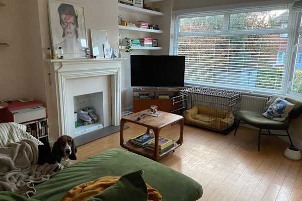 House sit in Surbiton, United Kingdom