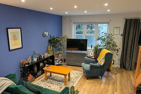 House sit in Canterbury, United Kingdom