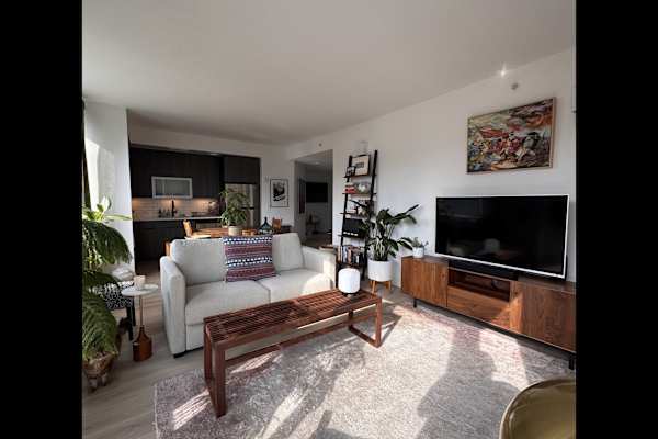 House sit in New York City, NY, US