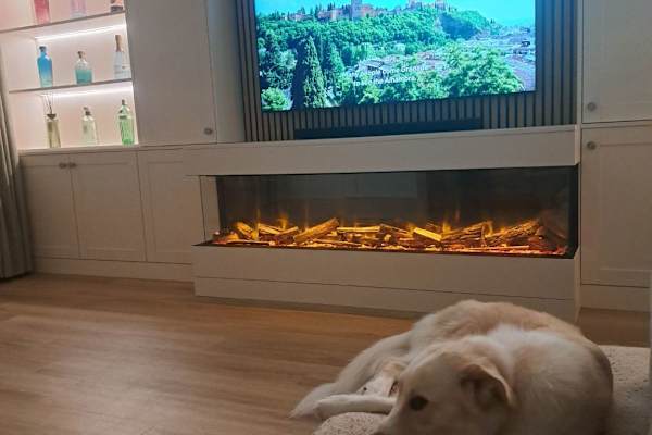 House sit in Bishopton, United Kingdom