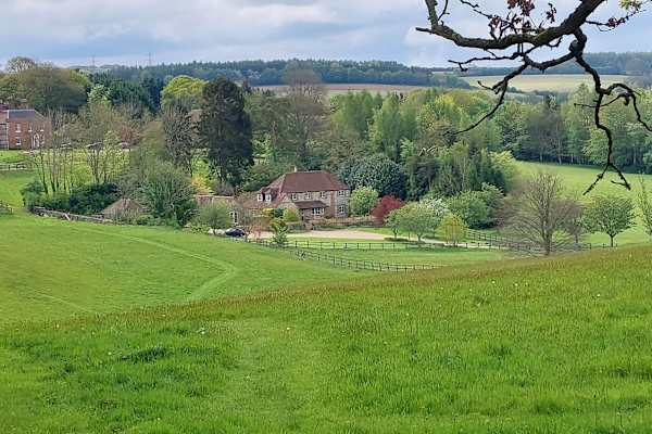 House sit in East Meon, United Kingdom