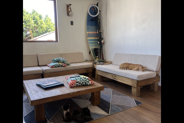 House sit in La Reina, Chile