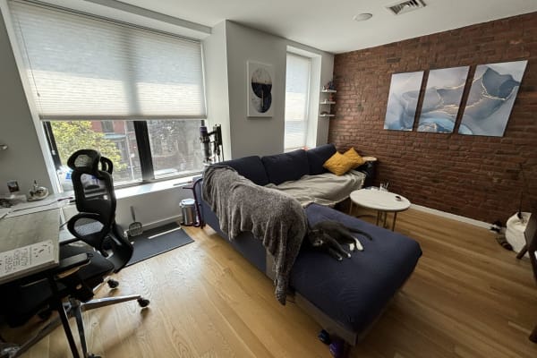 House sit in Brooklyn, NY, US