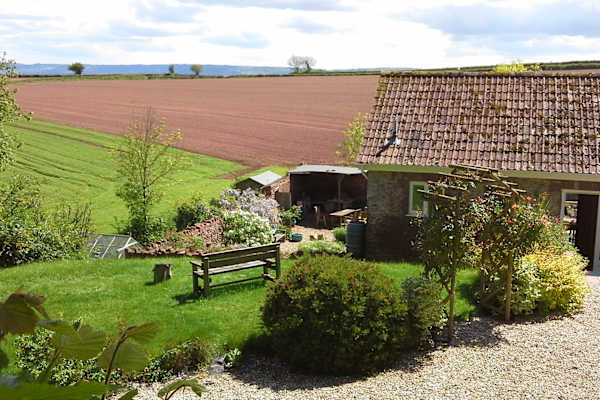 House sit in Taunton, United Kingdom