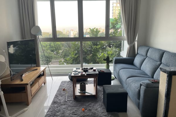 House sit in Singapore, Singapore