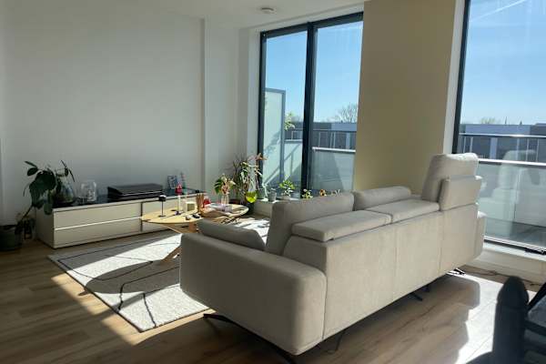 House sit in Utrecht, Netherlands