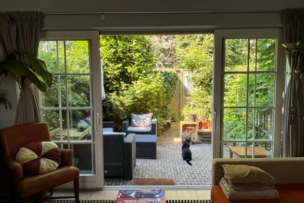 House sit in Delft, Netherlands