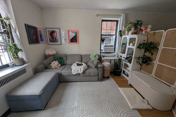 House sit in New York City, NY, US
