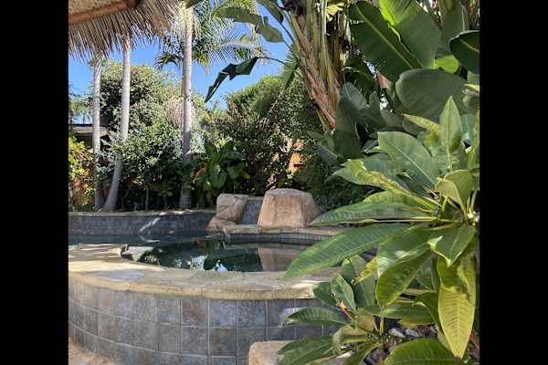 House sit in Encinitas, CA, US