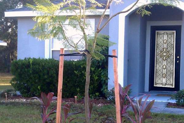 House sit in Poinciana Place, FL, US