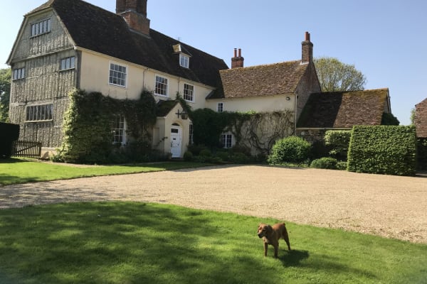 House sit in New Alresford, United Kingdom