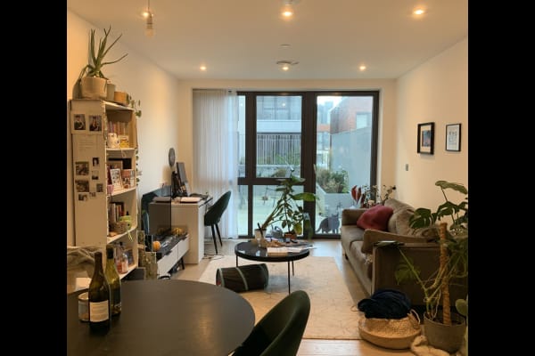 House sit in London, United Kingdom