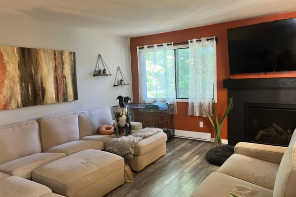 House sit in Abbotsford, BC, Canada