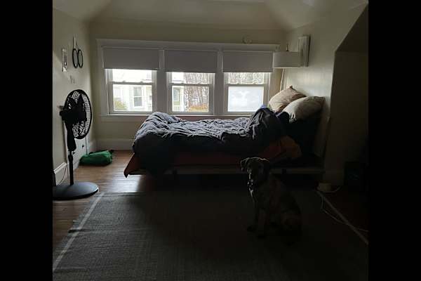 House sit in South Portland, ME, US