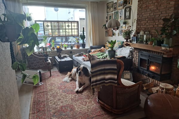 House sit in Waalwijk, Netherlands