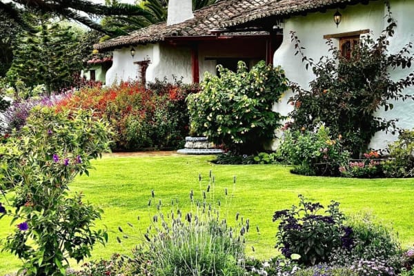 House sit in Cotacachi, Ecuador