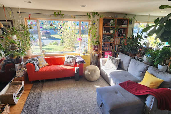 House sit in Anacortes, WA, US