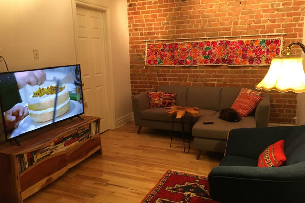House sit in Montréal, QC, Canada