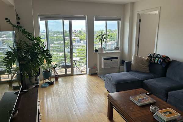 House sit in Brooklyn, NY, US