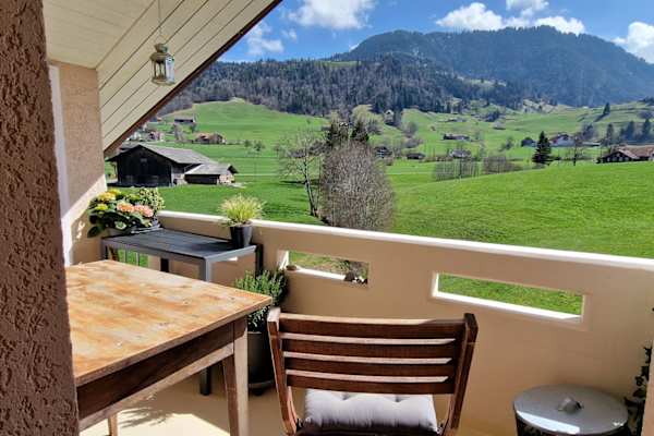 House sit in Luzern, Switzerland