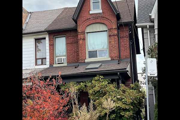 House sit in Toronto, ON, Canada