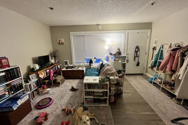 House sit in Portland, OR, US