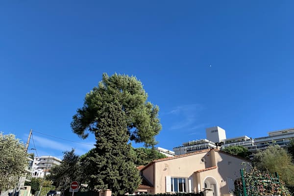 House sit in Antibes, France