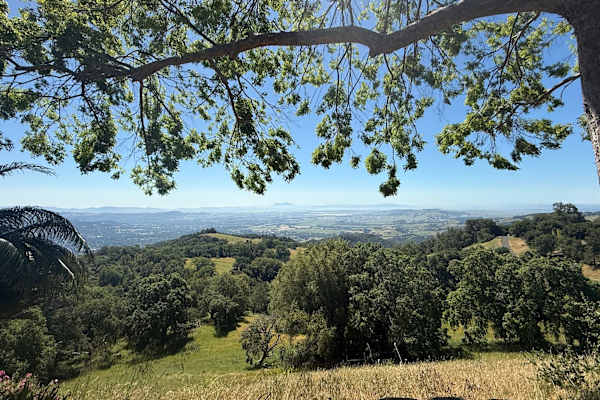 House sit in Sonoma, CA, US
