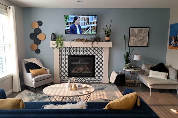 House sit in Edmonton, AB, Canada