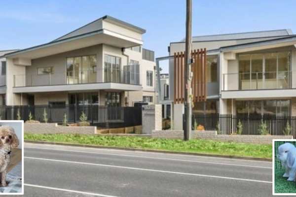 House sit in Balcombe, VIC, Australia