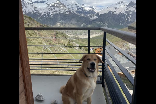 House sit in Tignes, France