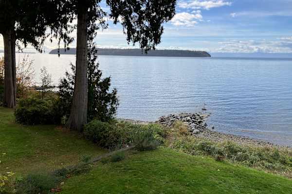 House sit in Powell River, BC, Canada