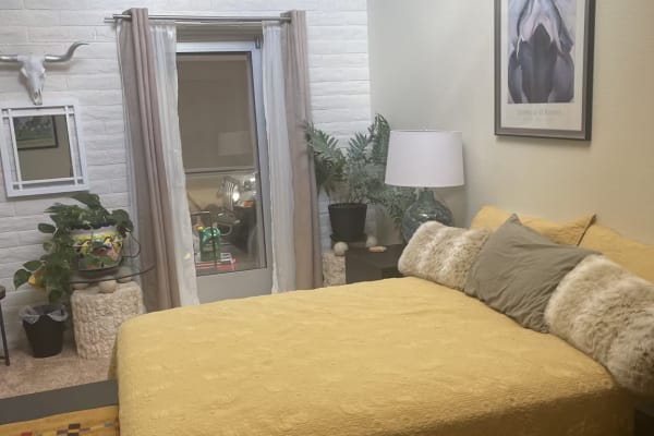 House sit in Albuquerque, NM, US