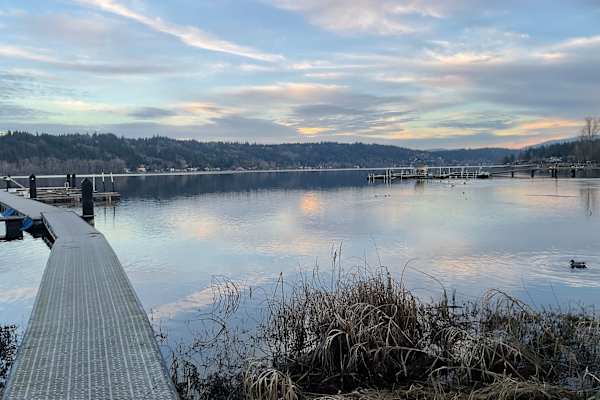 House sit in Redmond, WA, US