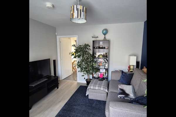 House sit in Edinburgh, United Kingdom