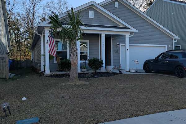 House sit in Charleston, SC, US