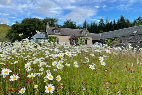 House sit in Biggar, United Kingdom