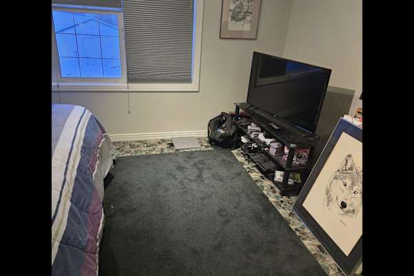 House sit in Stony Plain, AB, Canada