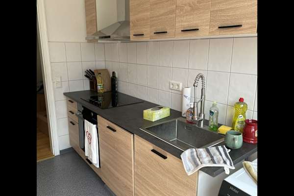House sit in Düsseldorf, Germany