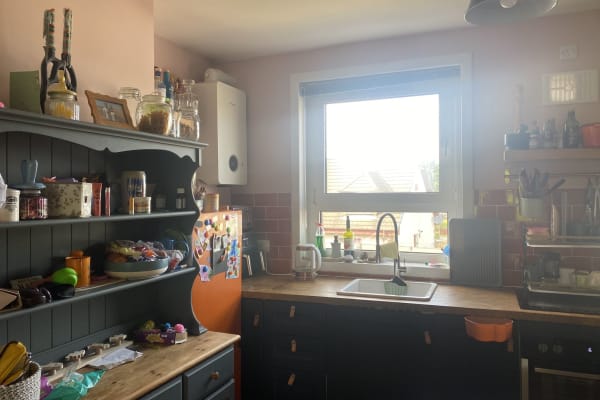 House sit in Stirling, United Kingdom