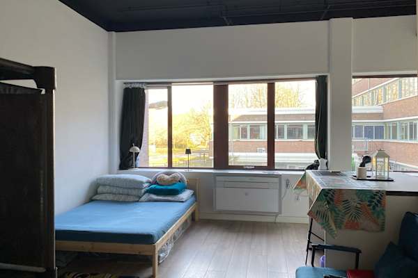 House sit in Groningen, Netherlands