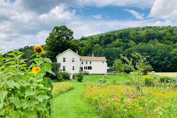 House sit in Stamford, NY, US