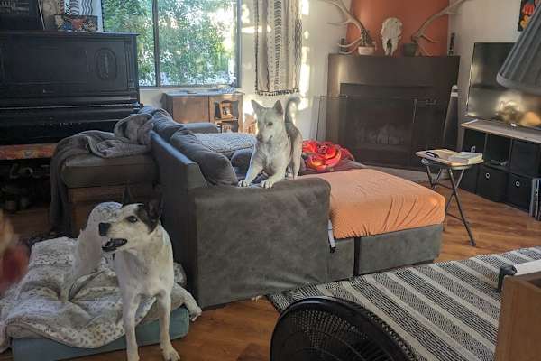 House sit in Santa Fe, NM, US