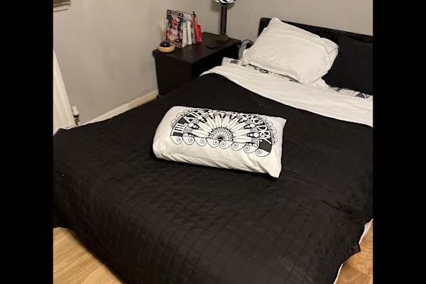 House sit in Kelso, United Kingdom