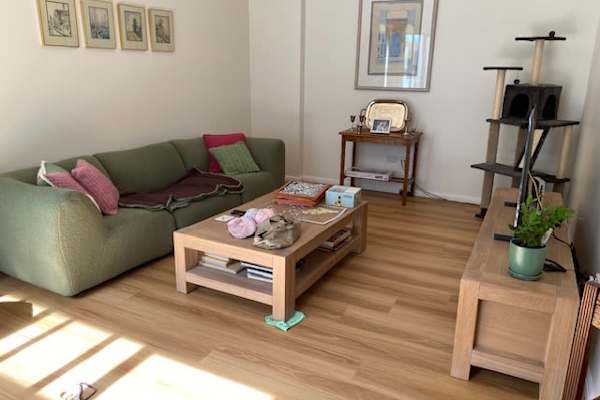 House sit in City of Parramatta, NSW, Australia